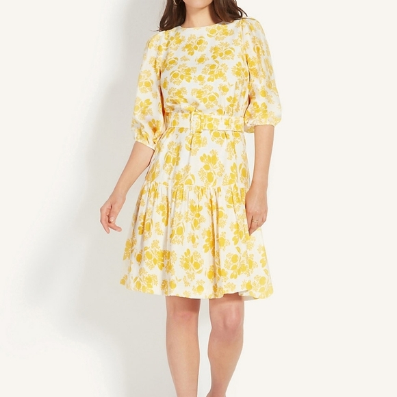 Citrus Blossom Belted Flounce Shift Dress - Picture 2 of 4